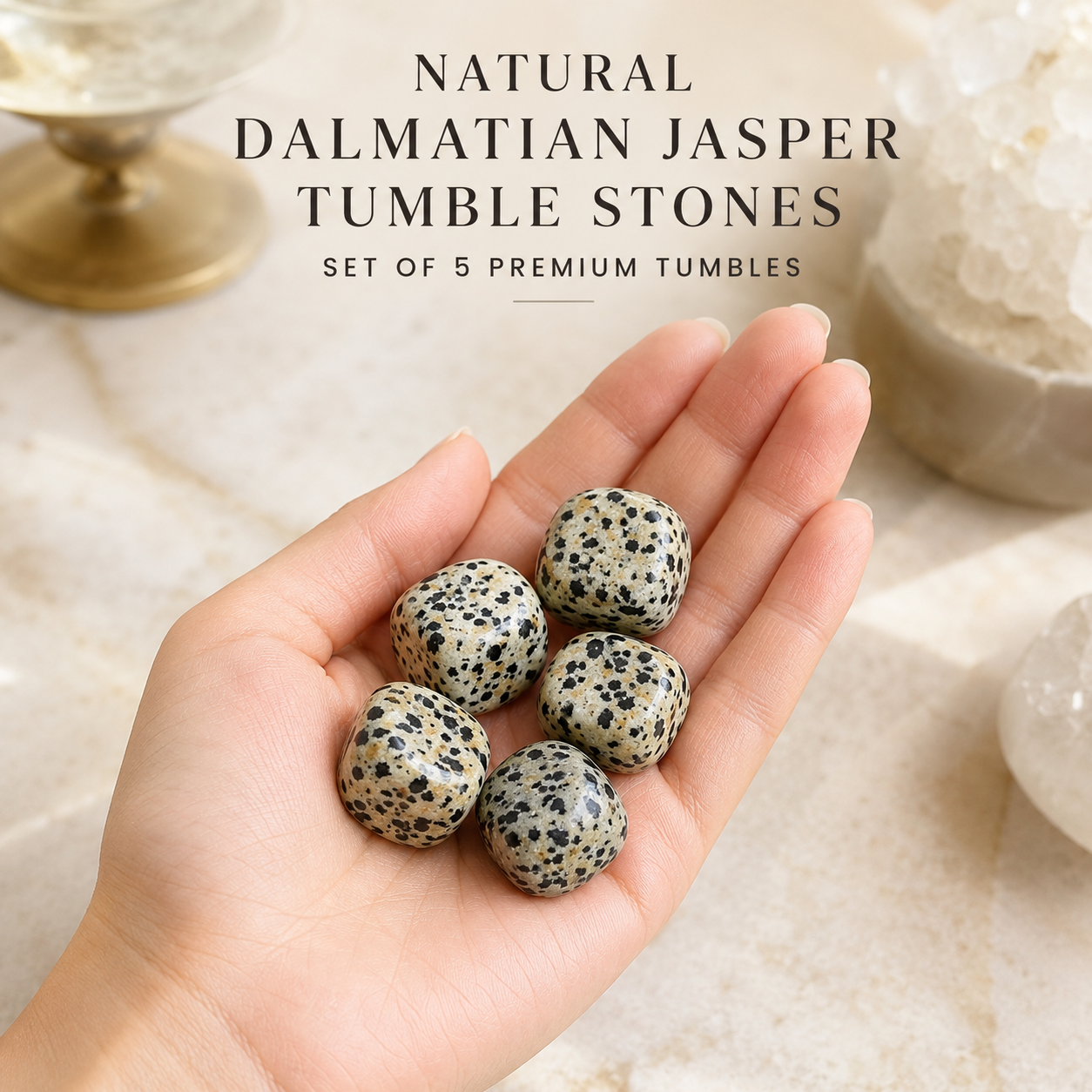 Natural Dalmatian Jasper Tumble Stones | Set of 5 Premium Dalmatian Jasper Crystal Tumbled Stones | Joy & Grounding Healing Crystals