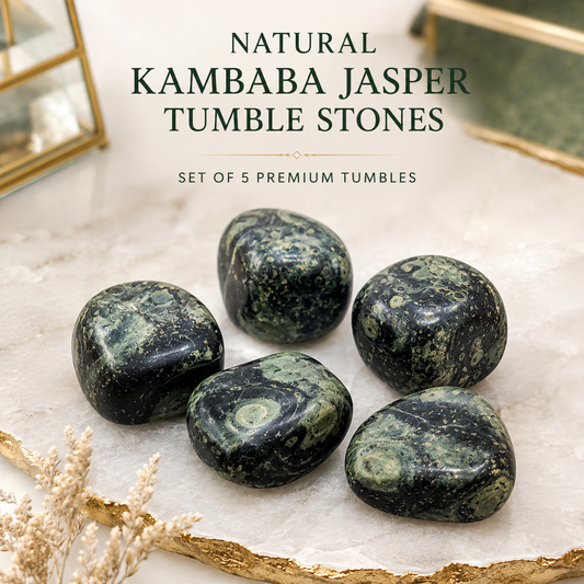 Natural Kambaba Jasper Tumble Stones | Set of 5 Premium Polished Kambaba Jasper Crystals | Grounding, Peace & Emotional Balance Stones