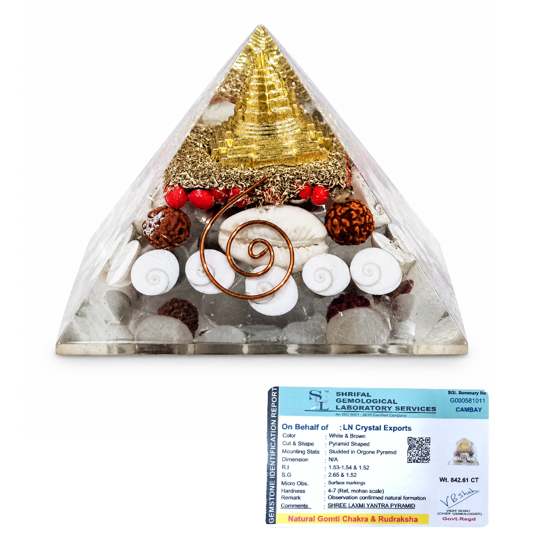 Natural Shree Laxmi Yantra Orgonite Pyramid with Gomti Chakra & Rudraksha